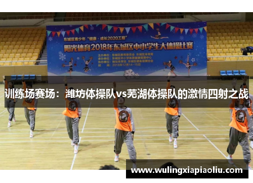 训练场赛场：潍坊体操队vs芜湖体操队的激情四射之战